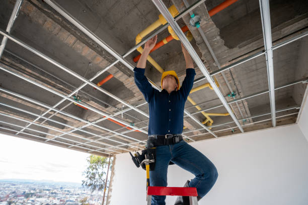 Best Commercial Plumbing Services  in Carrizo Hill, TX