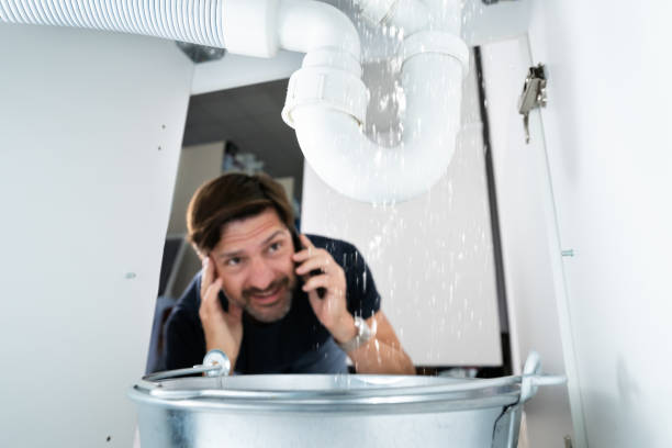 Best Water Softener Installation  in Carrizo Hill, TX