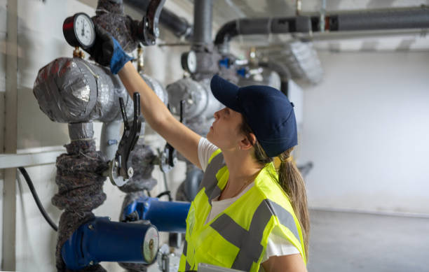 Best Hot Water Heater Installation  in Carrizo Hill, TX