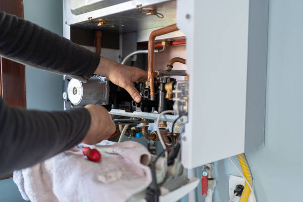 Best Plumbing Services Near Me  in Carrizo Hill, TX
