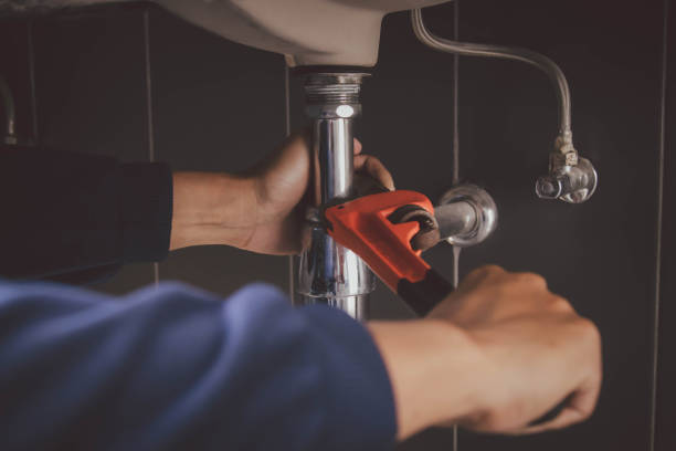 Best Affordable Plumbing Services  in Carrizo Hill, TX